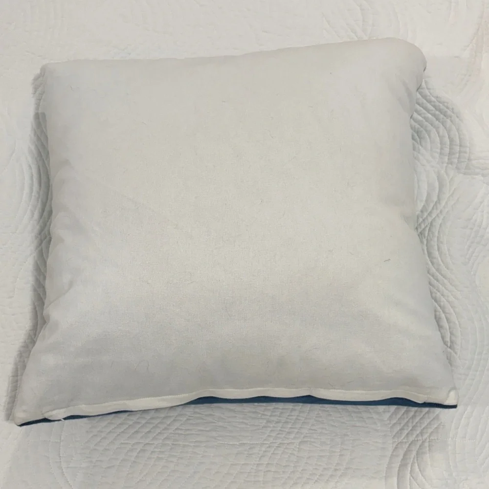 Coastal 'Stay Salty' Decorative Pillow - Teal & Navy